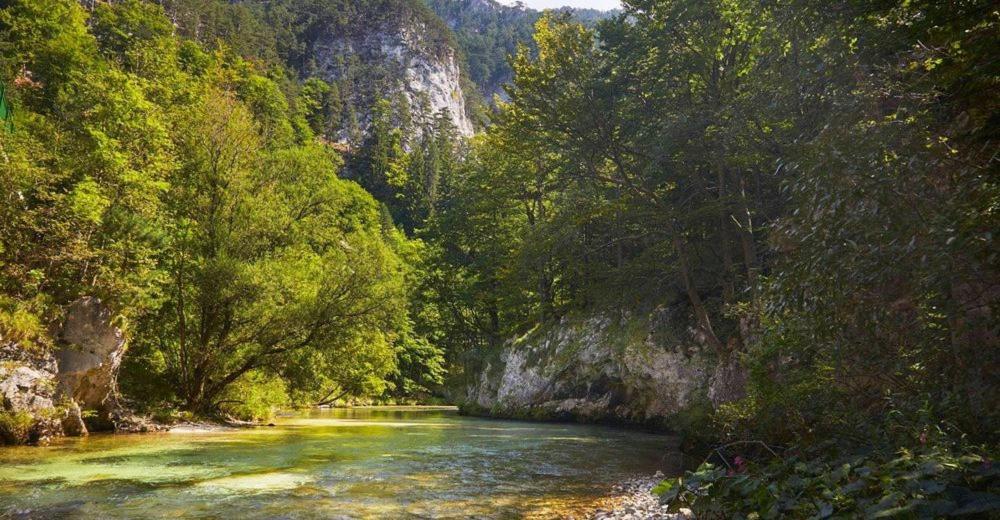 Schoene Ferienwohnung Schottwien Εξωτερικό φωτογραφία