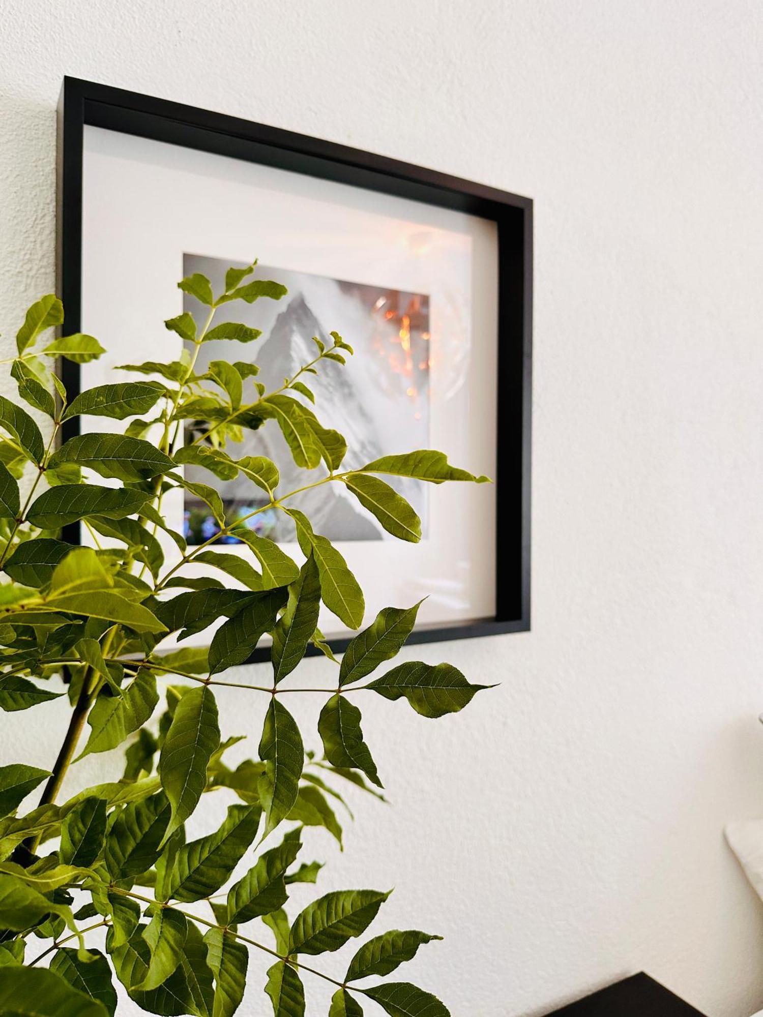 Schoene Ferienwohnung Schottwien Εξωτερικό φωτογραφία